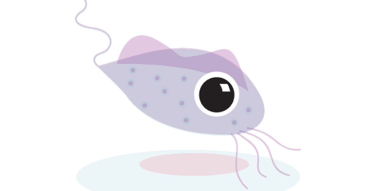 How Can You Protect Yourself From Getting Trichomoniasis? Love Matte