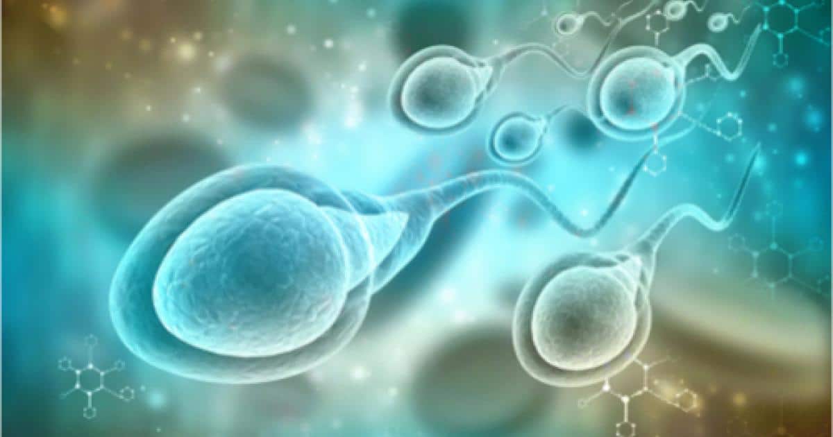 Jed recommends best of Water kills sperm sperm Water kills