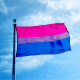 Bisexual flag