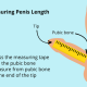 How to measure penis length
