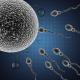 Male fertility problems: top five facts