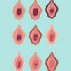 Hymen