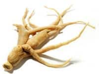 ginseng root