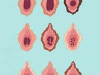Hymen