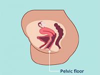 Pelvic