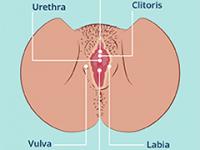 Vagina