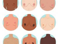Breasts Ideal Size